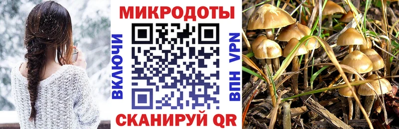как найти закладки  Лихославль  Галлюциногенные грибы ЛСД 